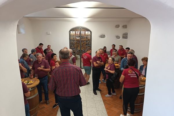 sremiski-vinogradniki-na-dolenjskem-1037BD27F0-0E79-12F2-3895-D3D641ECD43D.jpg