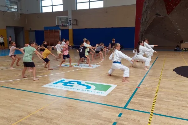 karateisti-soltec-brezice-na-poletnem-taboru-06B15C2C34-5D52-5597-3A3C-9A6512AF561D.webp