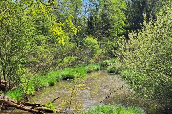 jovsi-natura-kozje-056F750CDB-11A8-140F-5BBD-8A4516F9BCB4.webp